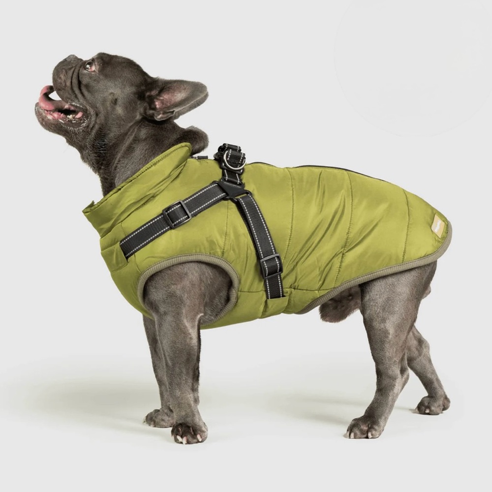 Olive Green Dog Jacket with built in harness